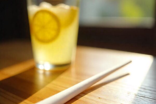 straw, sustainable straws, eco-friendly alternatives to plastic straws, reusable straws, biodegradable straws