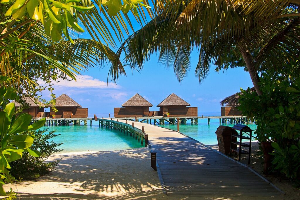 Luxury Vacation